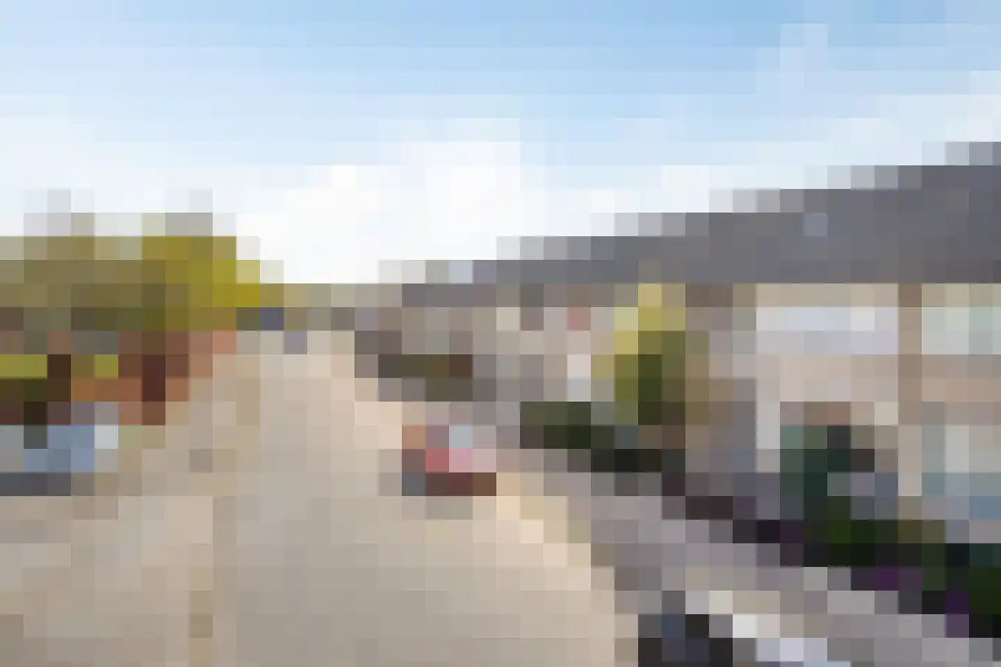 Zuiderzeelaan 36 Eindhoven thumbnail 8