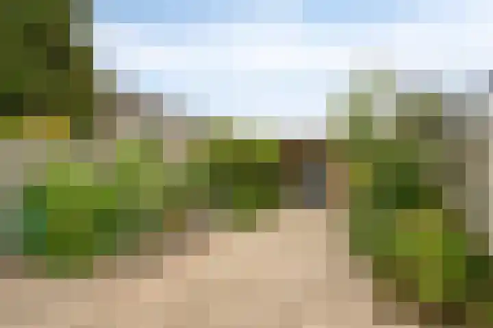 Zuiderzeelaan 6 Eindhoven thumbnail 29