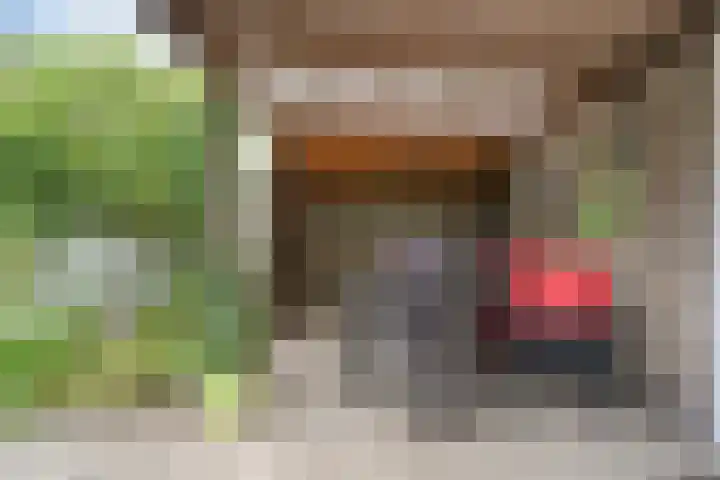 Zuiderzeelaan 6 Eindhoven thumbnail 31
