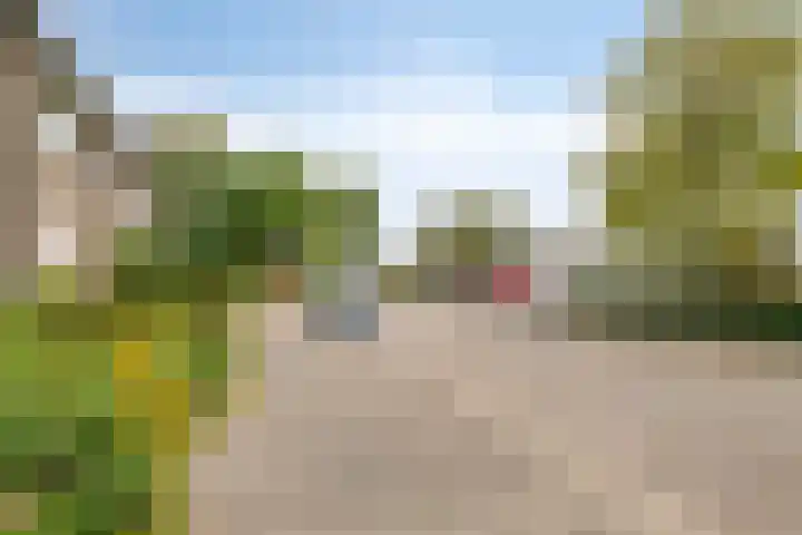 Zuiderzeelaan 6 Eindhoven thumbnail 35