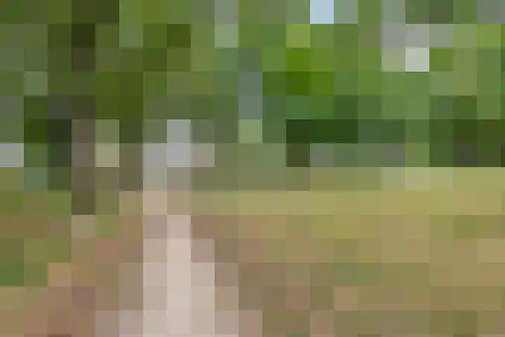 Zuiderzeelaan 6 Eindhoven thumbnail 38