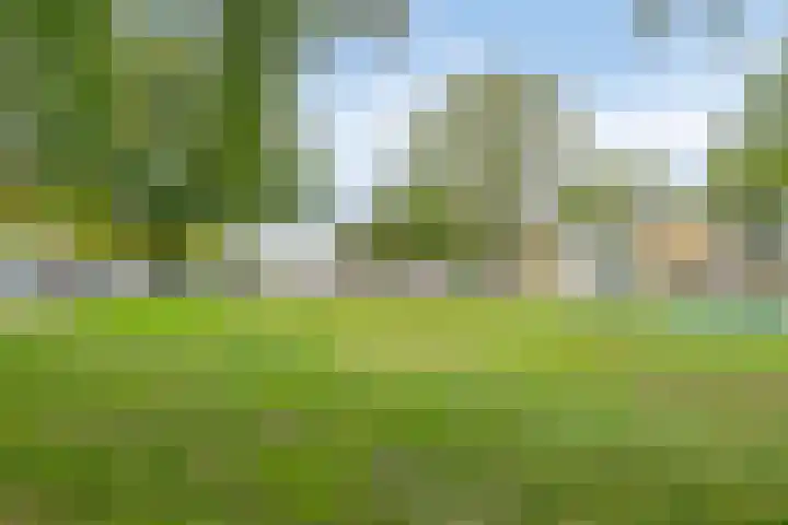 Zuiderzeelaan 6 Eindhoven thumbnail 39
