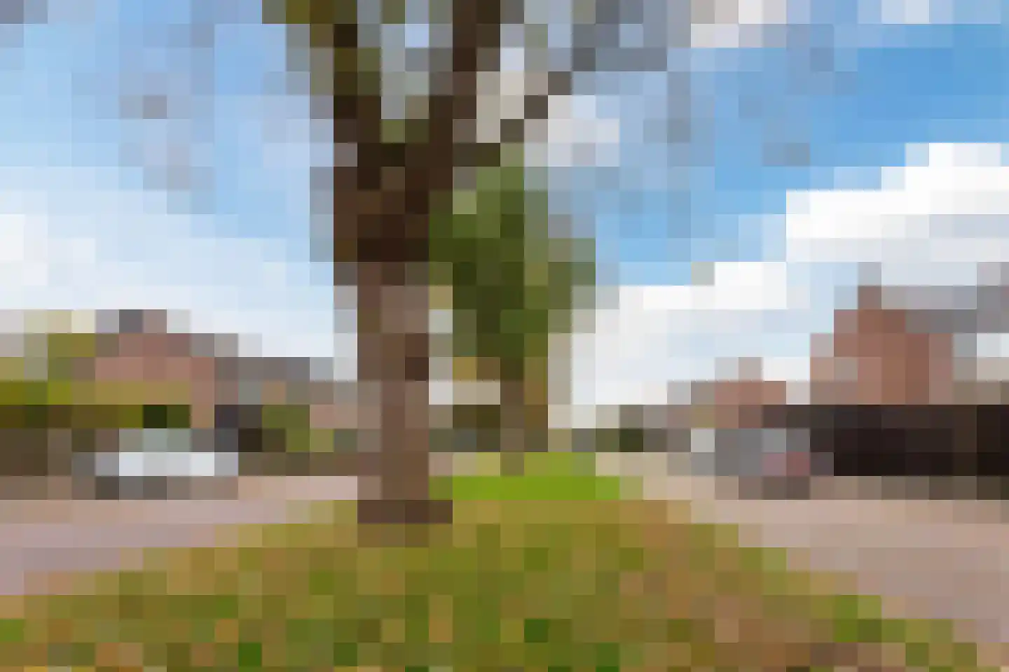 Zuiderzeelaan 61 Bunschoten-Spakenburg thumbnail 4