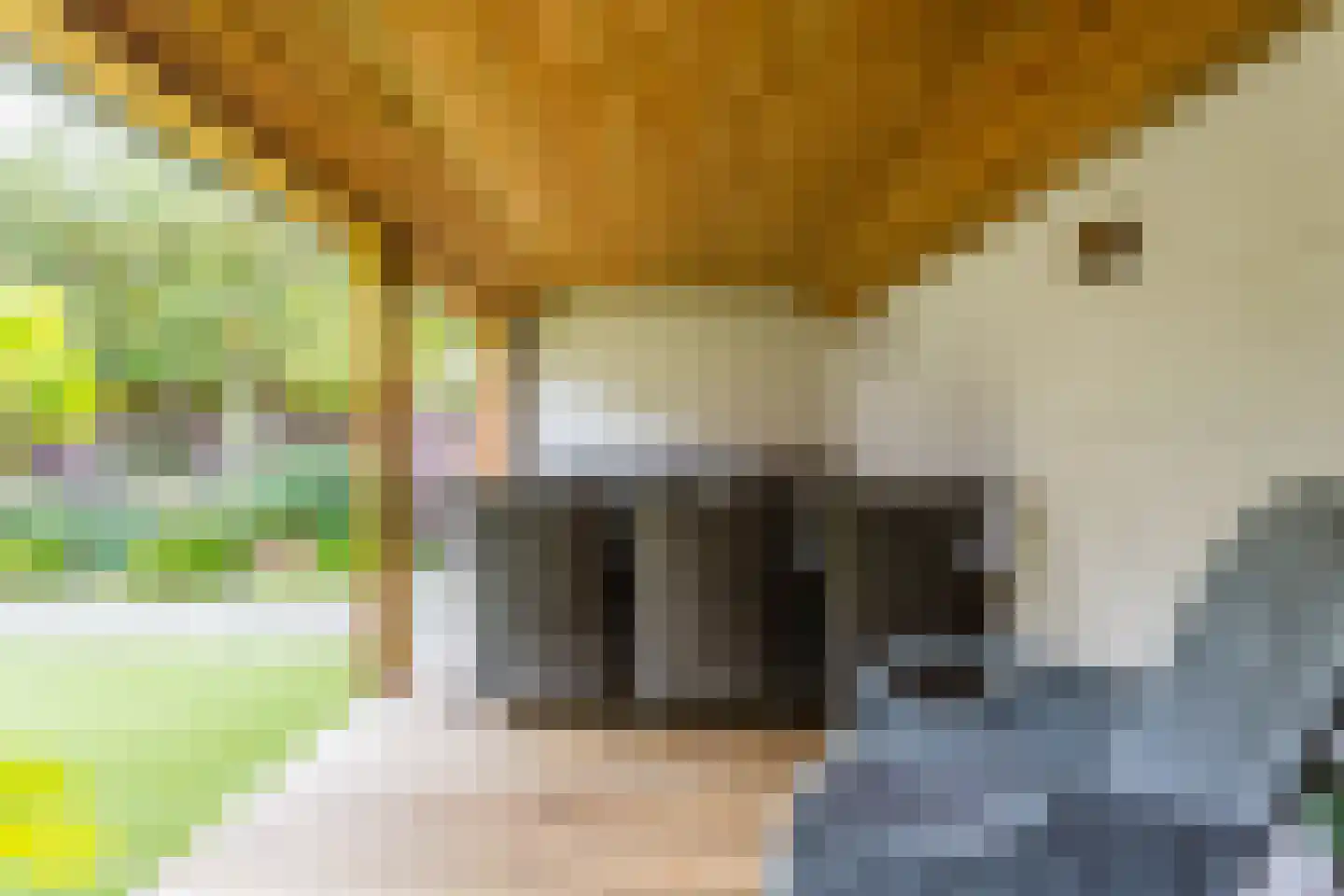 Zuiderzeelaan 61 Bunschoten-Spakenburg thumbnail 56