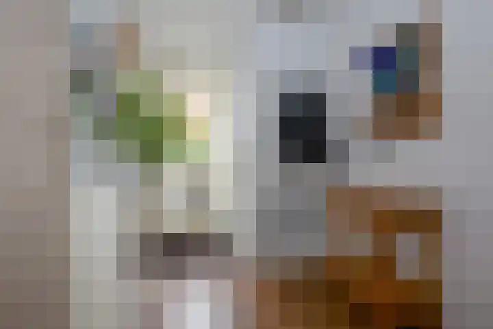 Zuiderzeelaan 9 Haarlem thumbnail 10