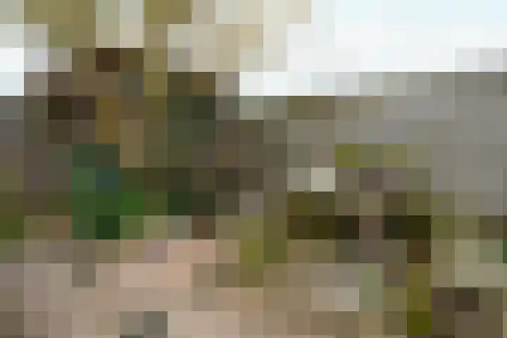Zuiderzeelaan 9 Haarlem thumbnail 16