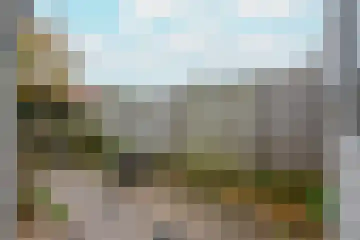 Zuiderzeelaan 9 Haarlem thumbnail 17