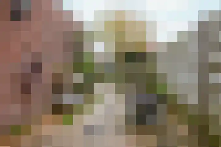 Zuiderzeelaan 9 Haarlem thumbnail 18