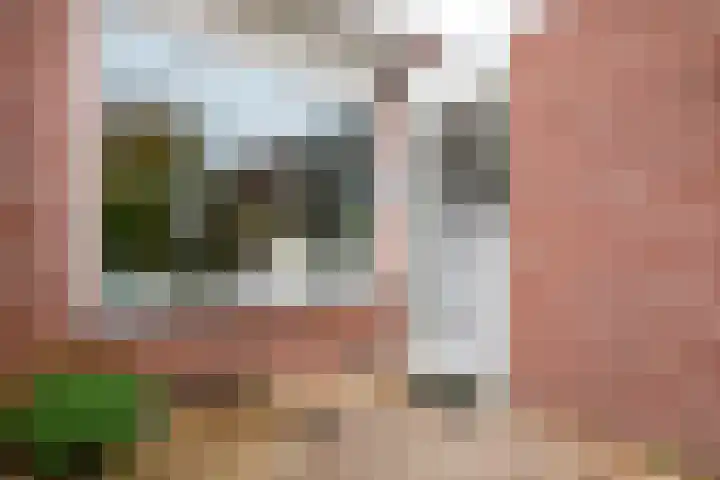 Zuiderzeelaan 9 Haarlem thumbnail 20