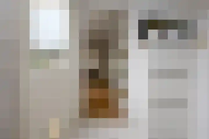 Zuiderzeelaan 9 Haarlem thumbnail 21