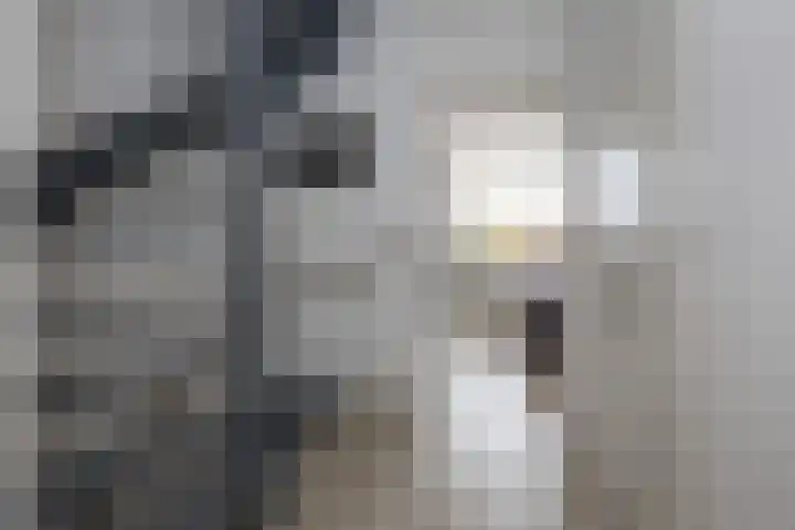 Zuiderzeelaan 9 Haarlem thumbnail 23