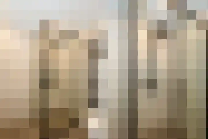Zuiderzeelaan 9 Haarlem thumbnail 28