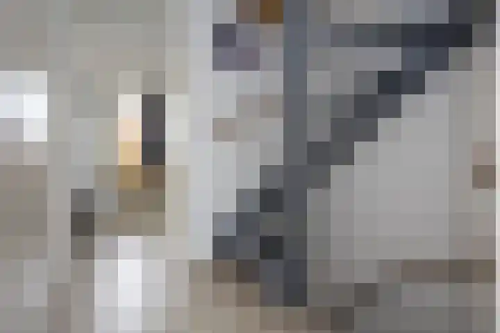 Zuiderzeelaan 9 Haarlem thumbnail 34
