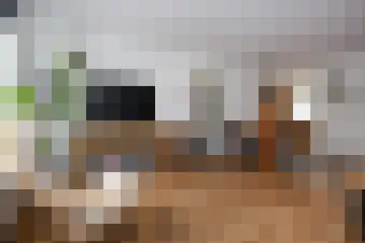 Zuiderzeelaan 9 Haarlem thumbnail 8
