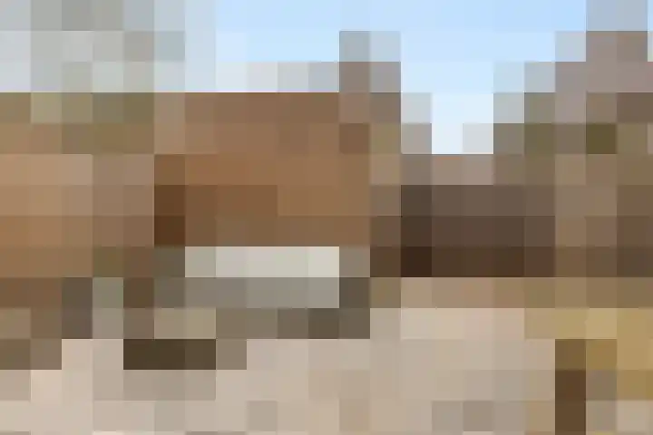 Zuiderzeelaan 92 Landsmeer thumbnail 18