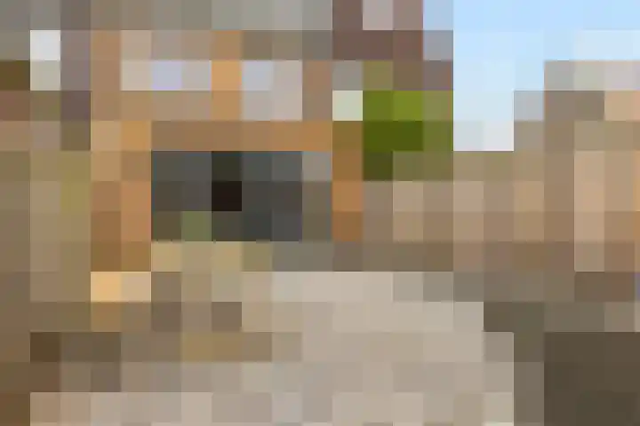 Zuiderzeelaan 92 Landsmeer thumbnail 20