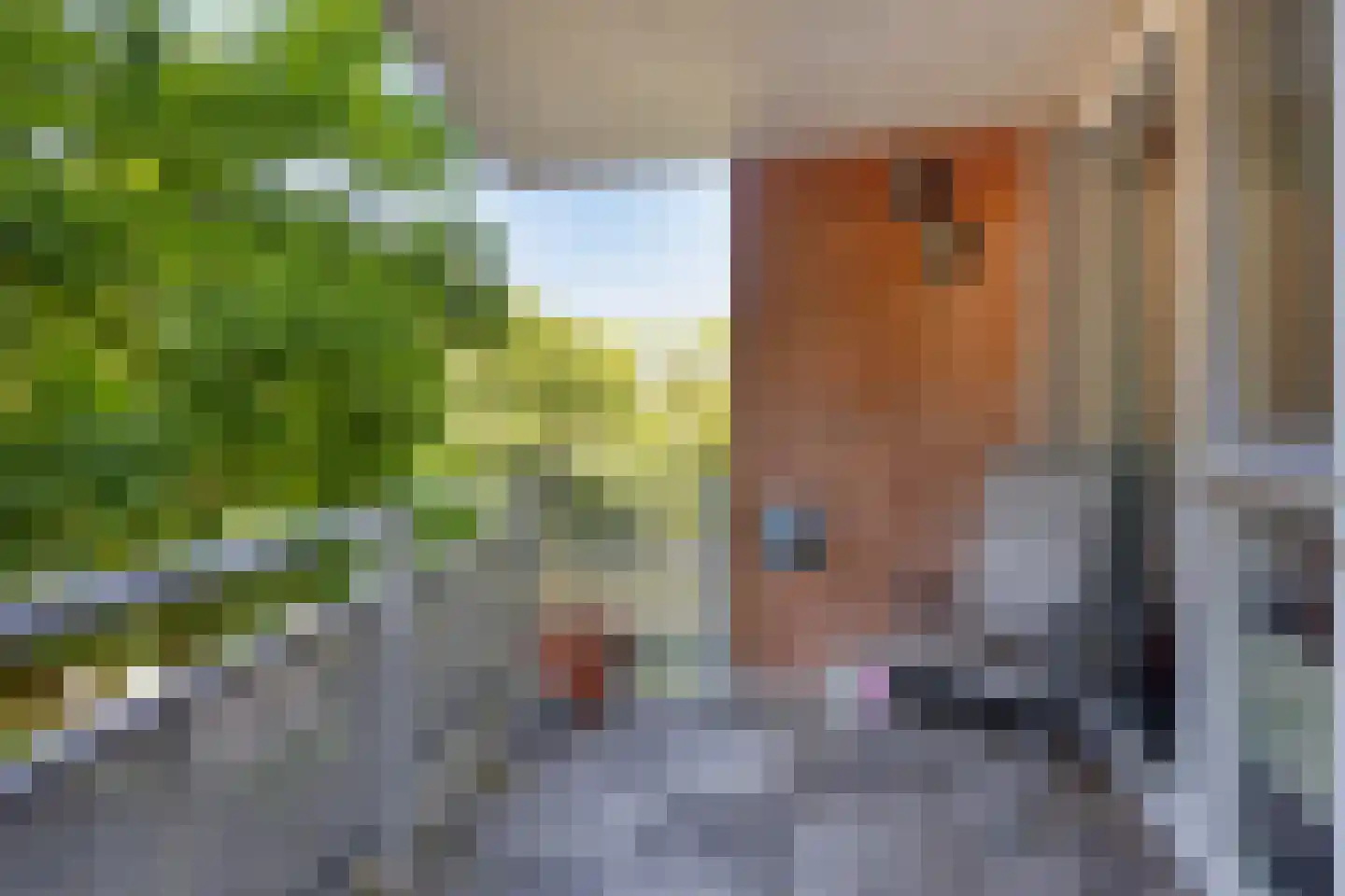 Zuiderzeepark 18 Amsterdam thumbnail 15