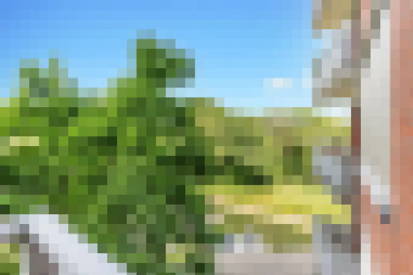 Zuiderzeepark 28 Amsterdam thumbnail 14
