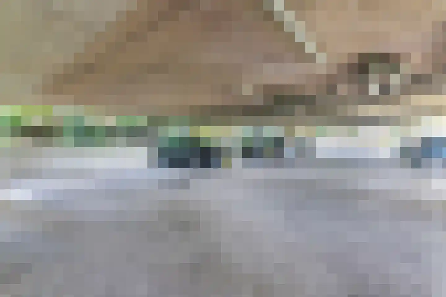 Zuiderzeepark 28 Amsterdam thumbnail 19