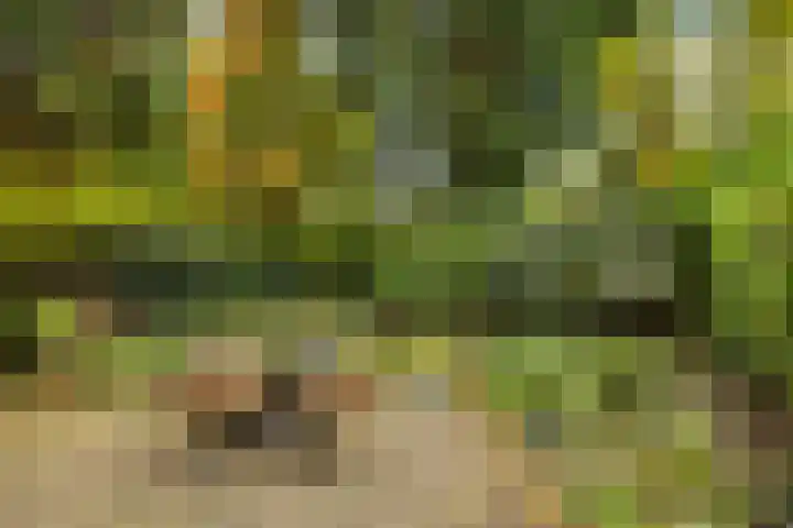 Zuiderzeepark 47 Amsterdam thumbnail 19