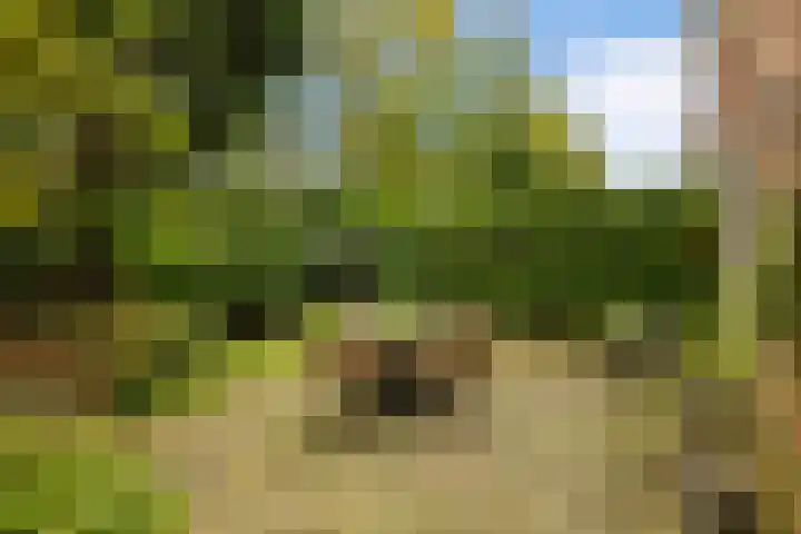 Zuiderzeepark 47 Amsterdam thumbnail 20