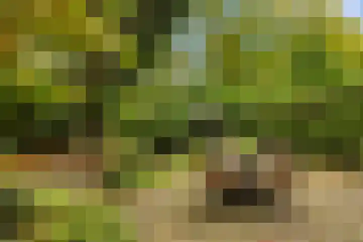 Zuiderzeepark 47 Amsterdam thumbnail 21