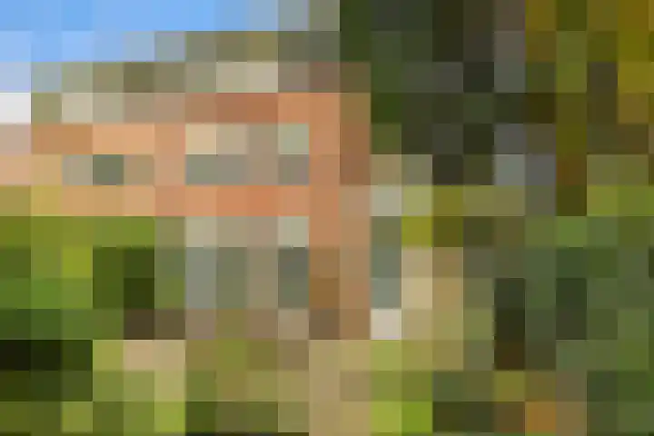 Zuiderzeepark 47 Amsterdam thumbnail 22