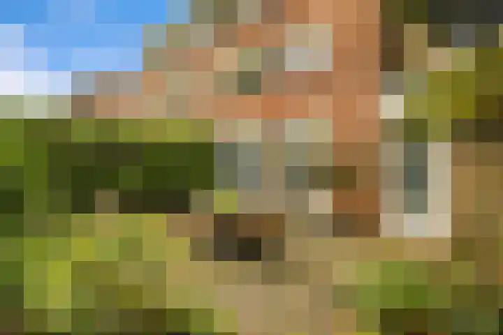 Zuiderzeepark 47 Amsterdam thumbnail 23