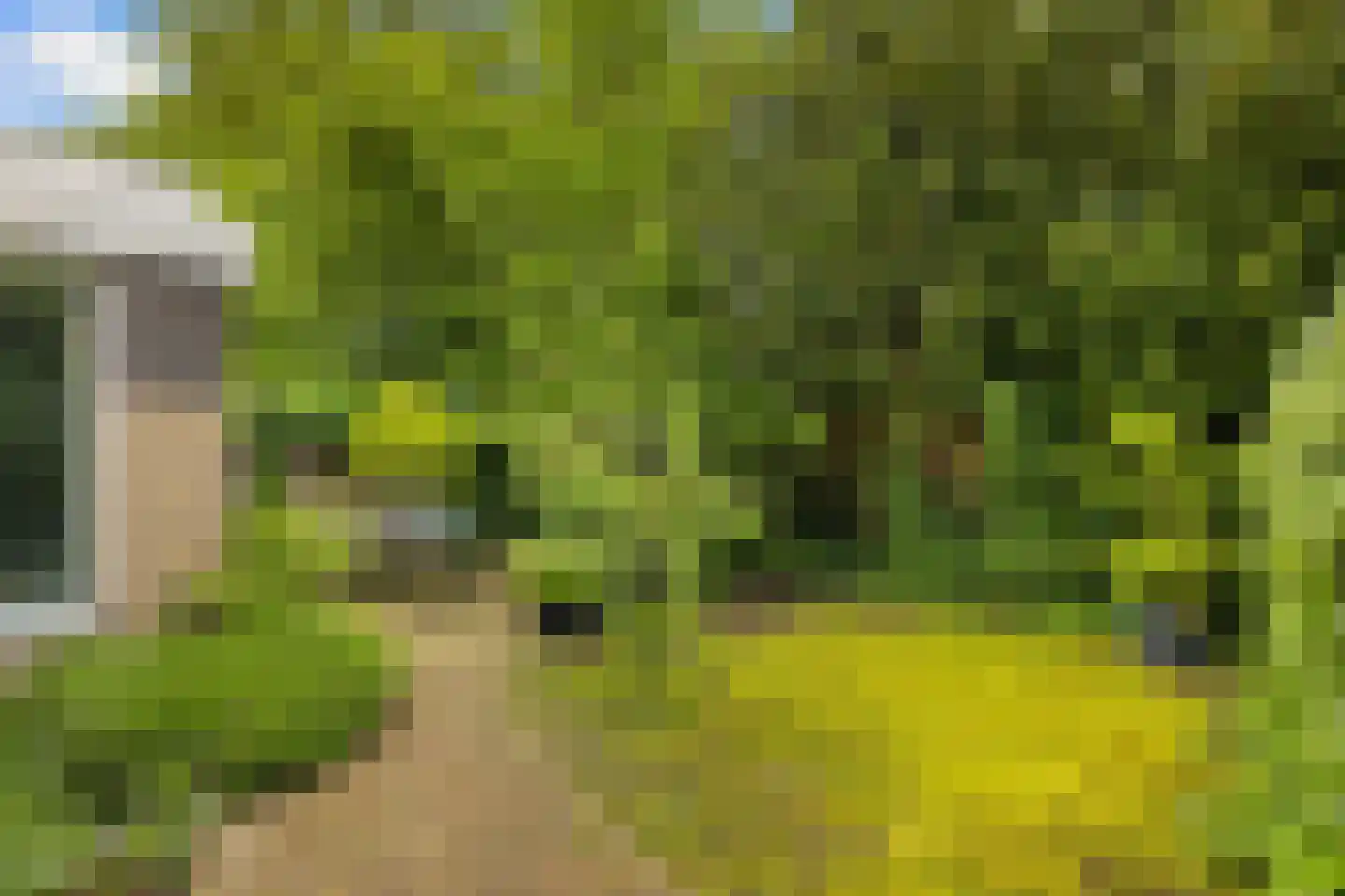 Zuiderzeepark 55 Amsterdam thumbnail 20