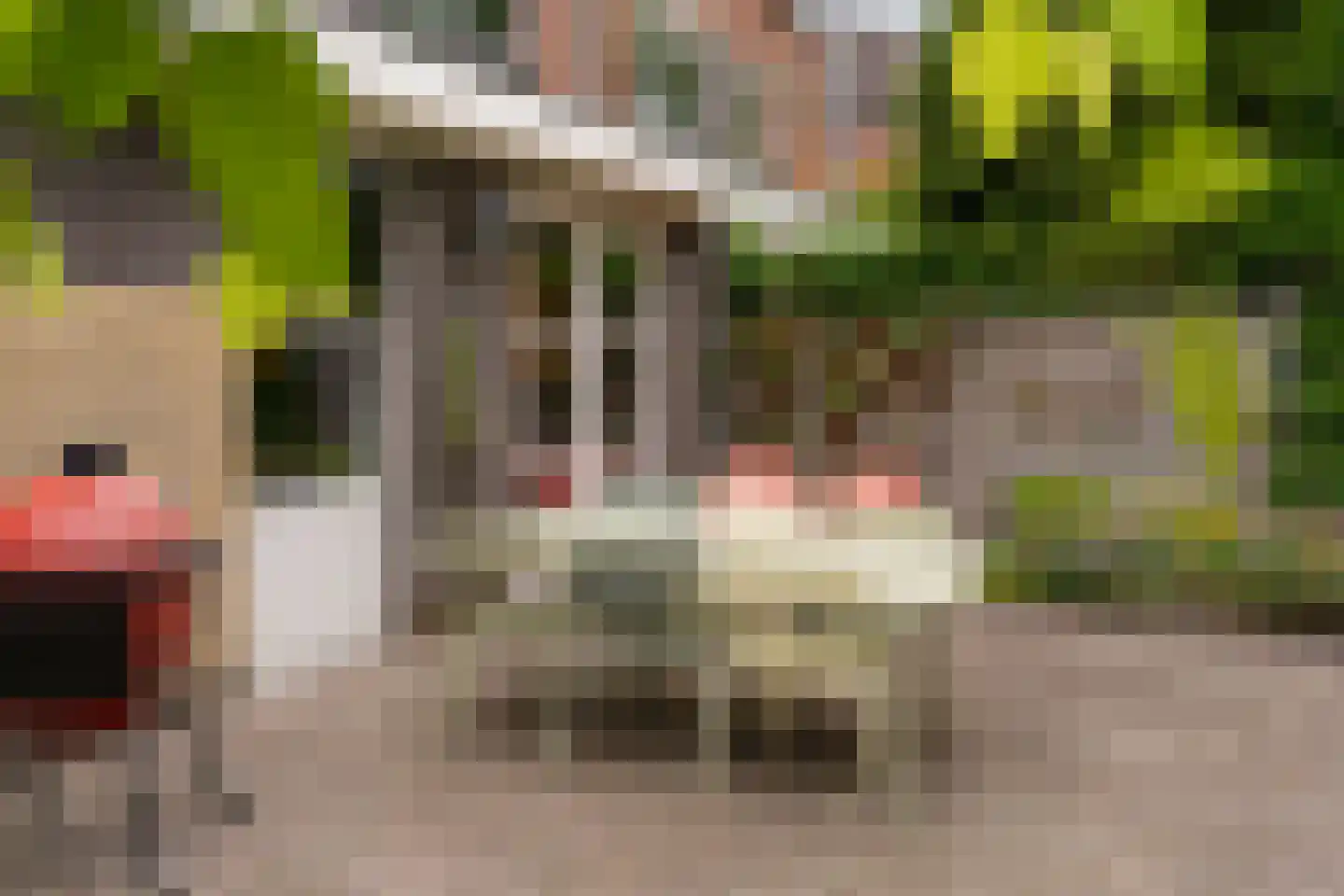 Zuiderzeepark 61 Amsterdam thumbnail 19