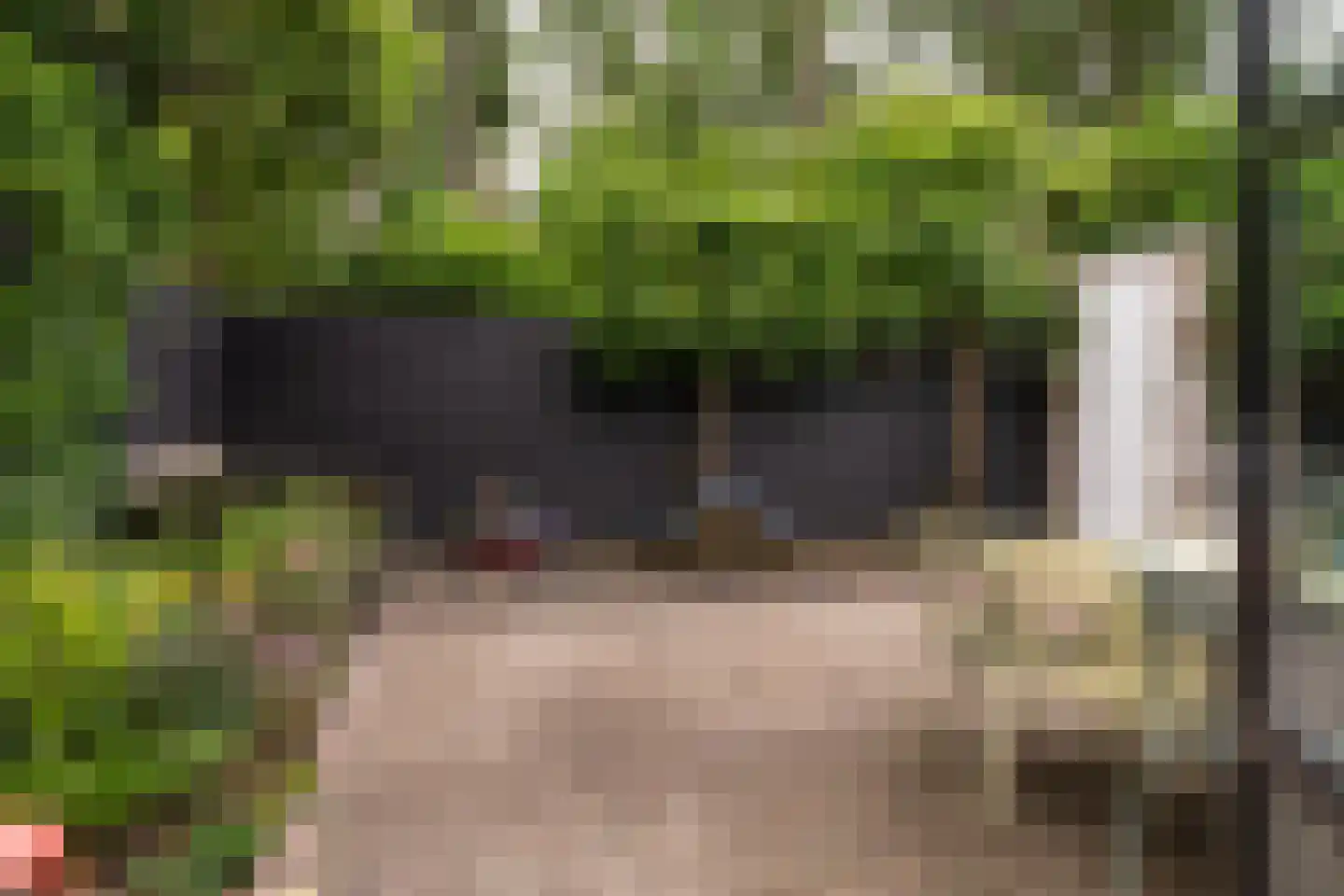 Zuiderzeepark 61 Amsterdam thumbnail 20