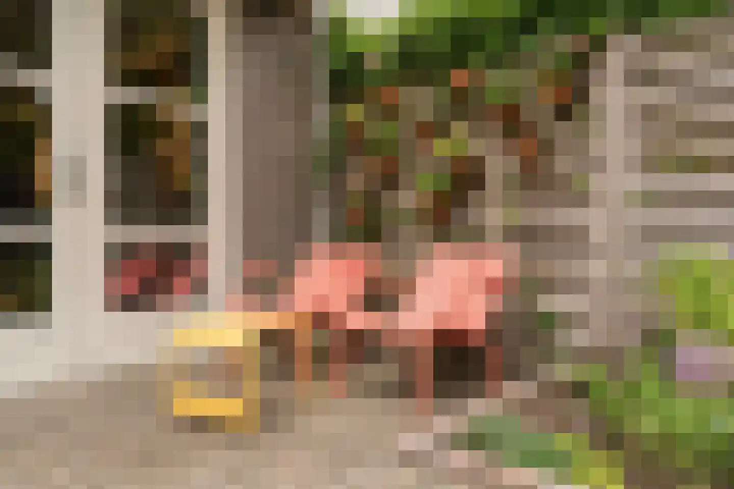 Zuiderzeepark 61 Amsterdam thumbnail 21