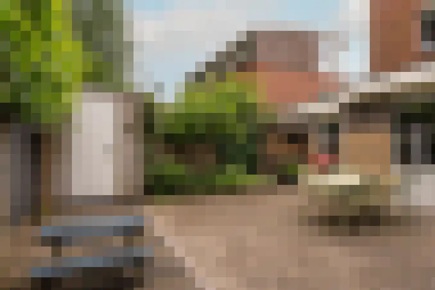 Zuiderzeepark 61 Amsterdam thumbnail 22