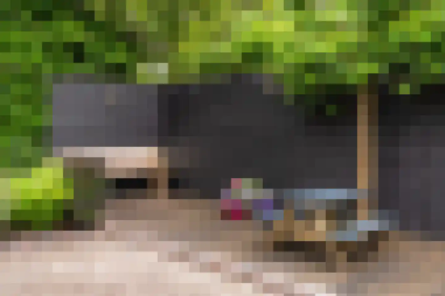 Zuiderzeepark 61 Amsterdam thumbnail 23