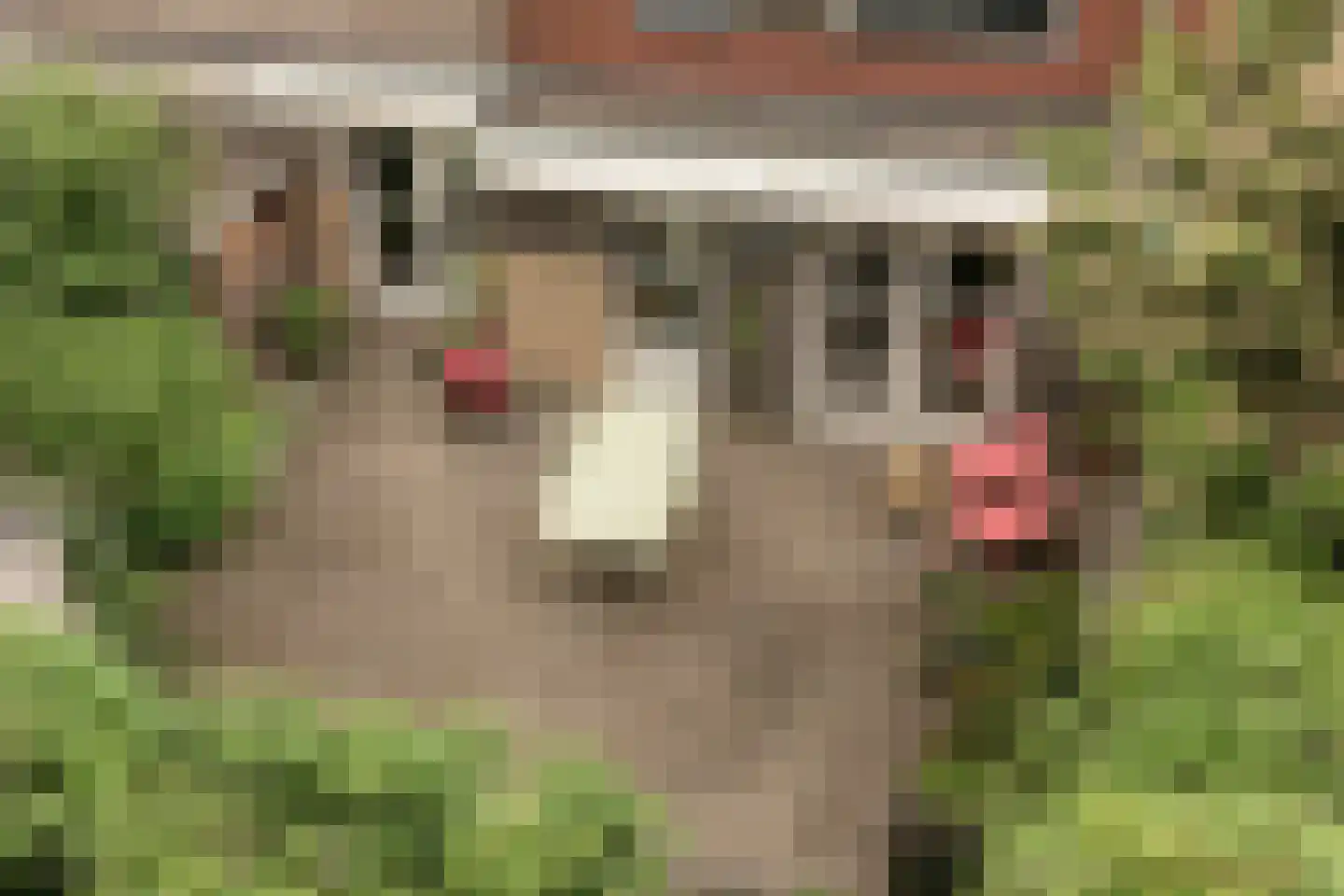 Zuiderzeepark 61 Amsterdam thumbnail 24