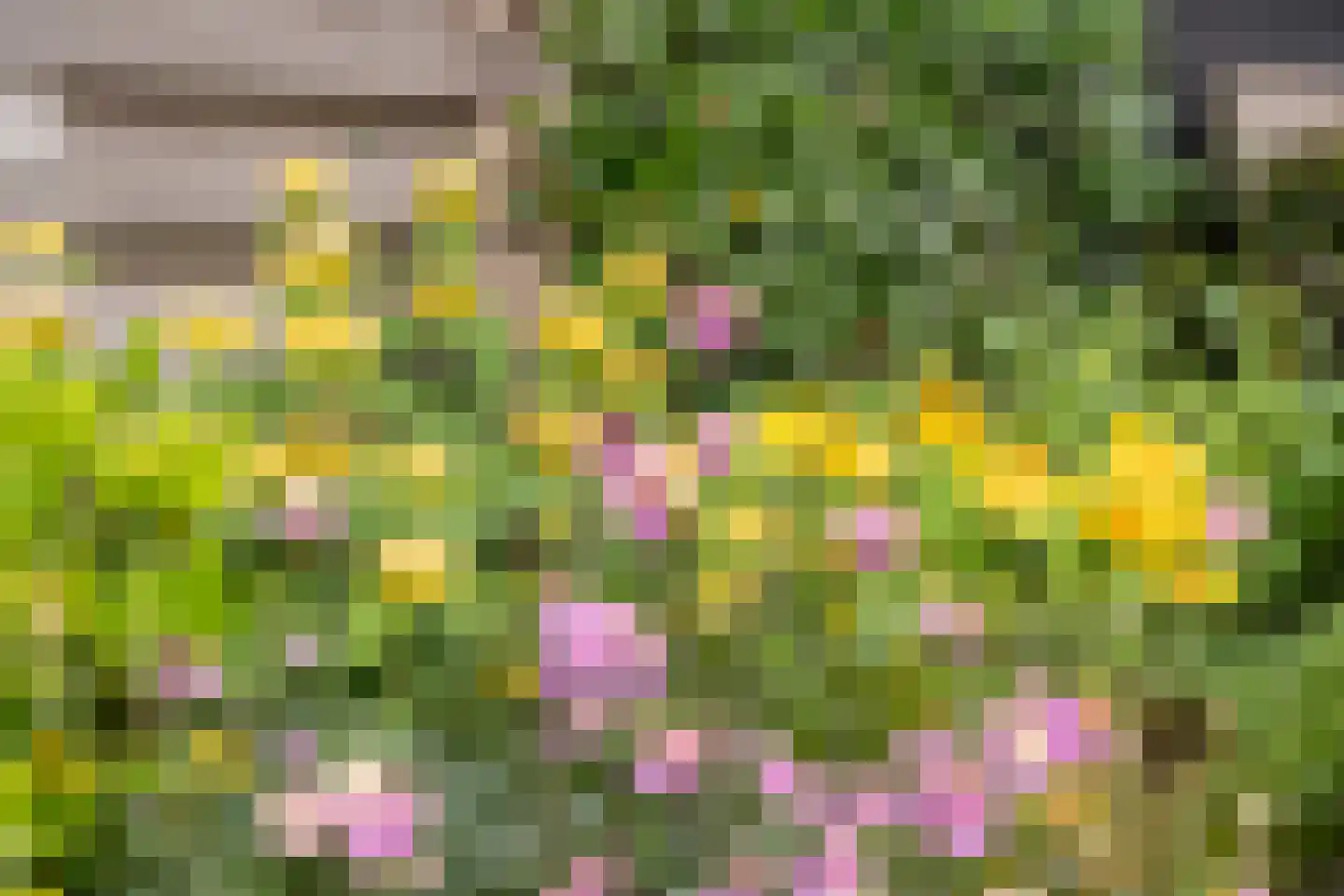 Zuiderzeepark 61 Amsterdam thumbnail 26