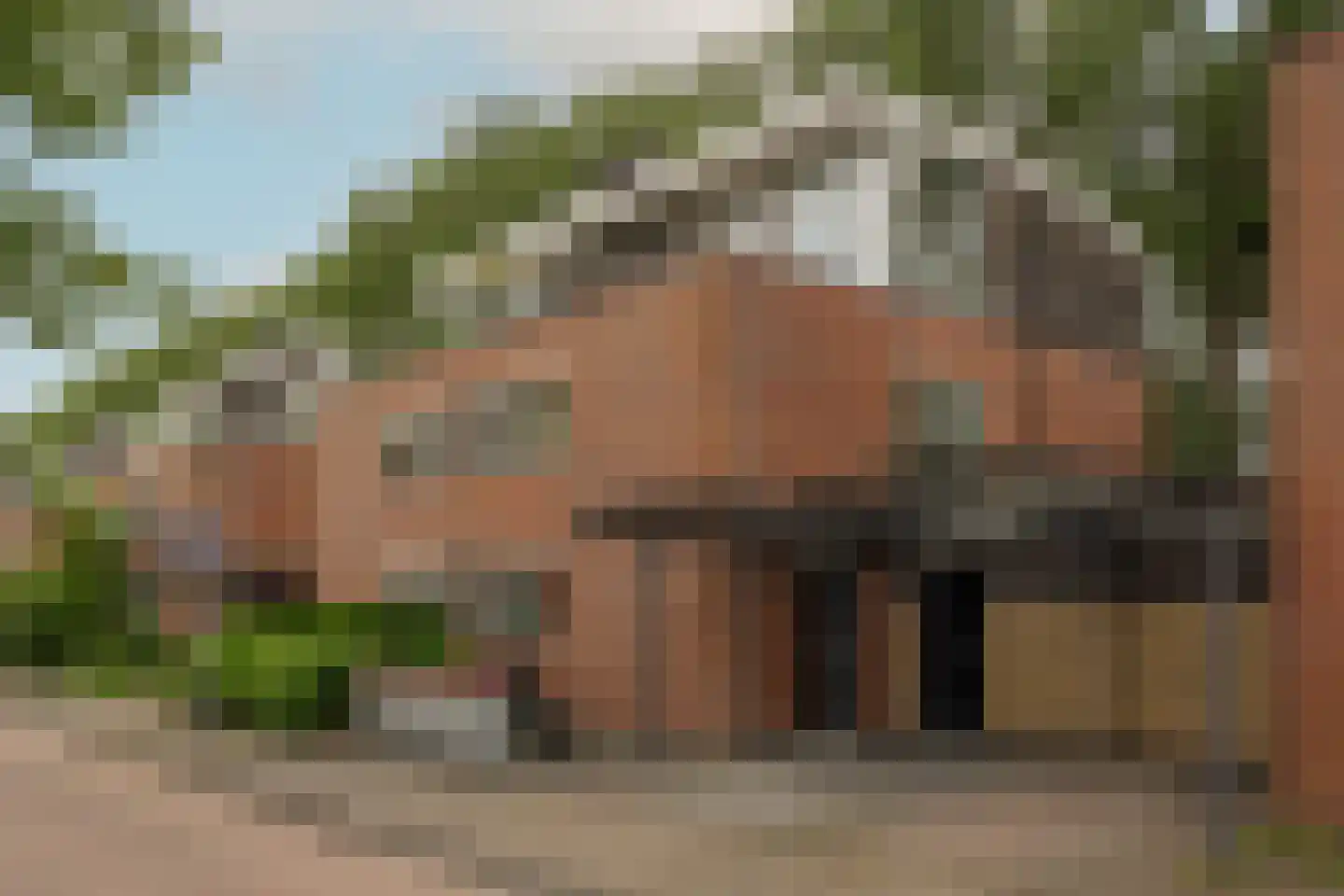 Zuiderzeepark 61 Amsterdam thumbnail 44