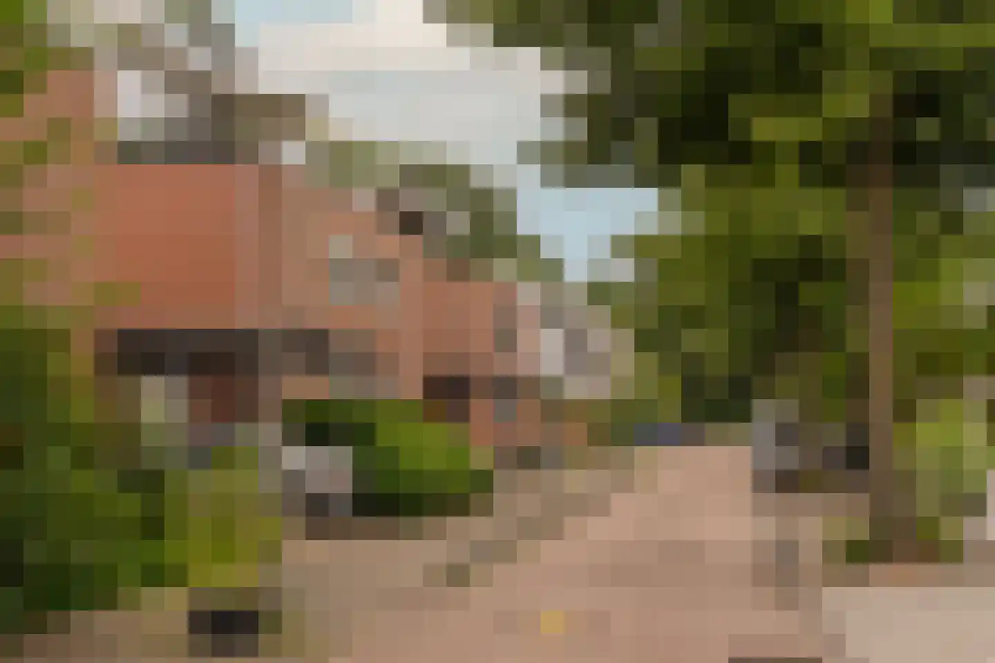 Zuiderzeepark 61 Amsterdam thumbnail 46