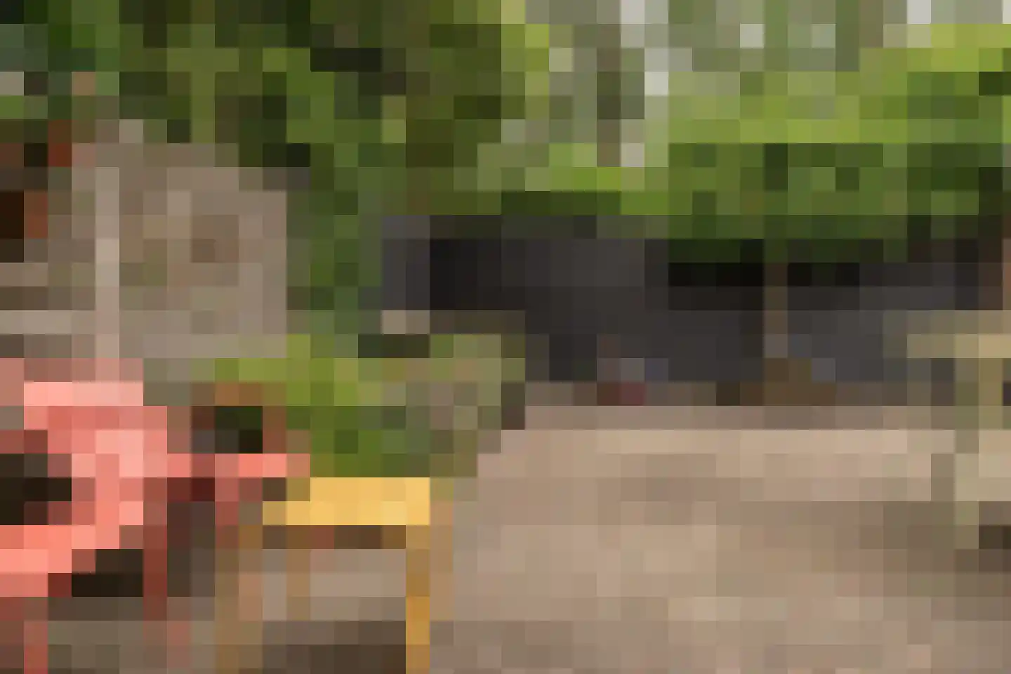 Zuiderzeepark 61 Amsterdam thumbnail 6