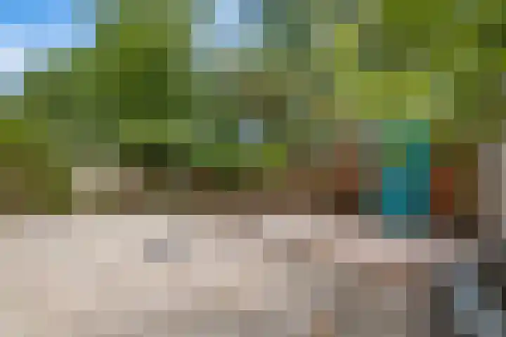 Zuiderzeepark 65 Amsterdam thumbnail 35