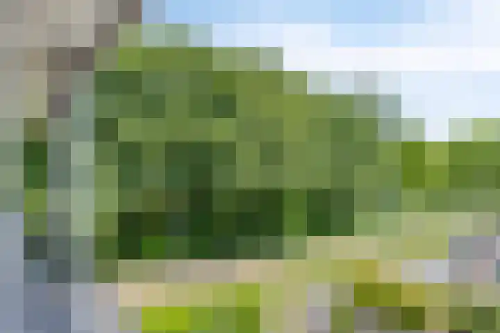 Zuiderzeepark 82 Amsterdam thumbnail 22
