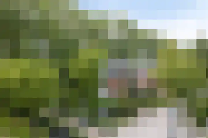 Zuiderzeepark 82 Amsterdam thumbnail 29