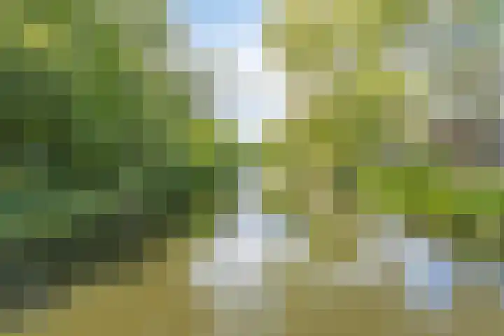 Zuiderzeepark 82 Amsterdam thumbnail 33