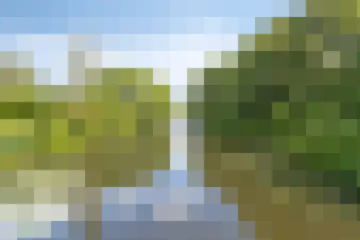 Zuiderzeepark 82 Amsterdam thumbnail 34