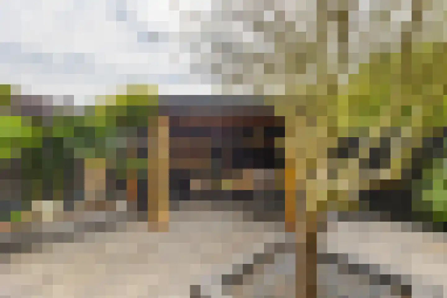 Zuiderzeestraat 113 Oost-Souburg thumbnail 23