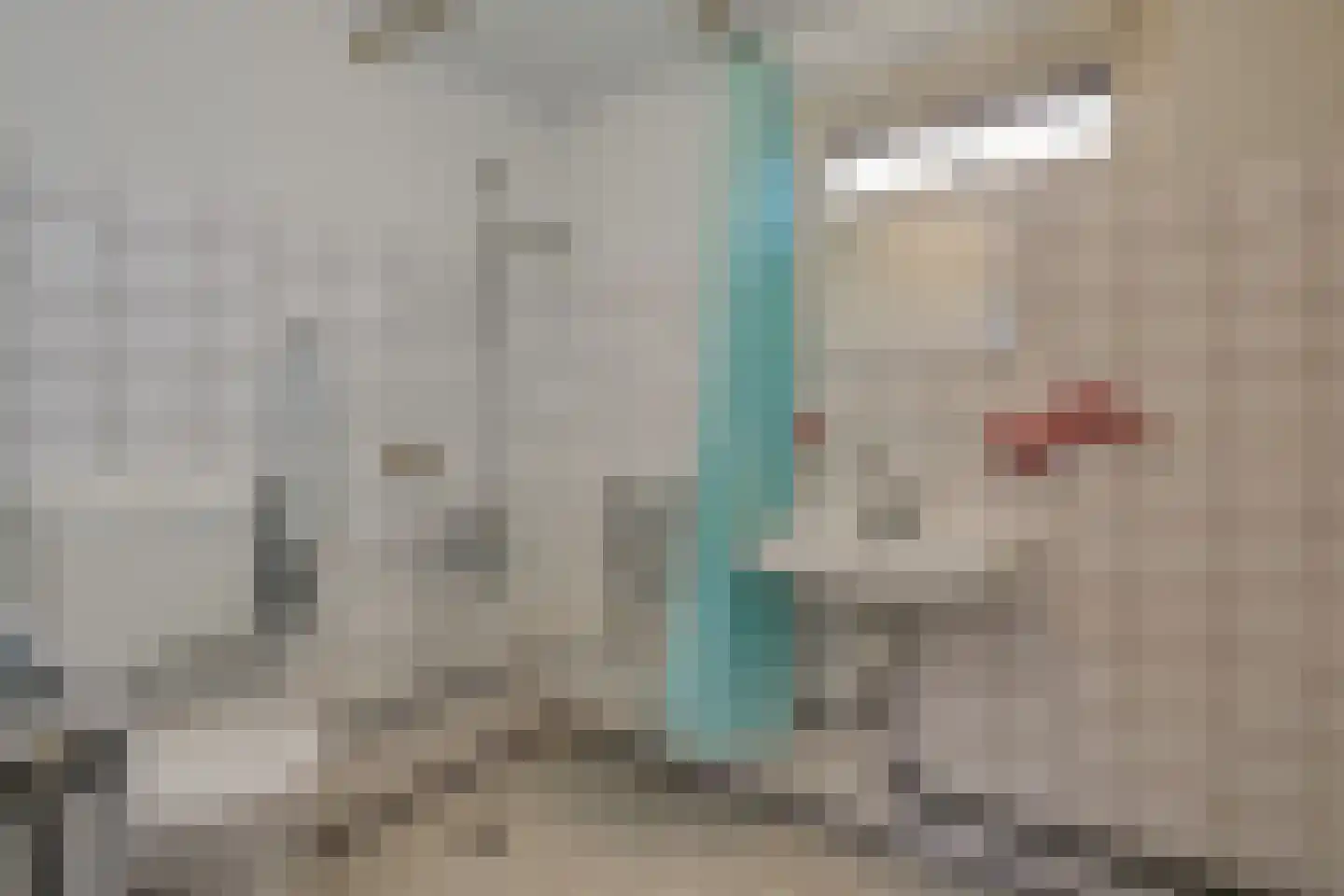 Zuiderzeestraat 26 Aartswoud thumbnail 31