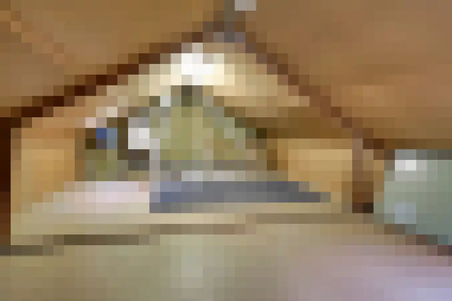 Zuiderzeestraat 26 Aartswoud thumbnail 39