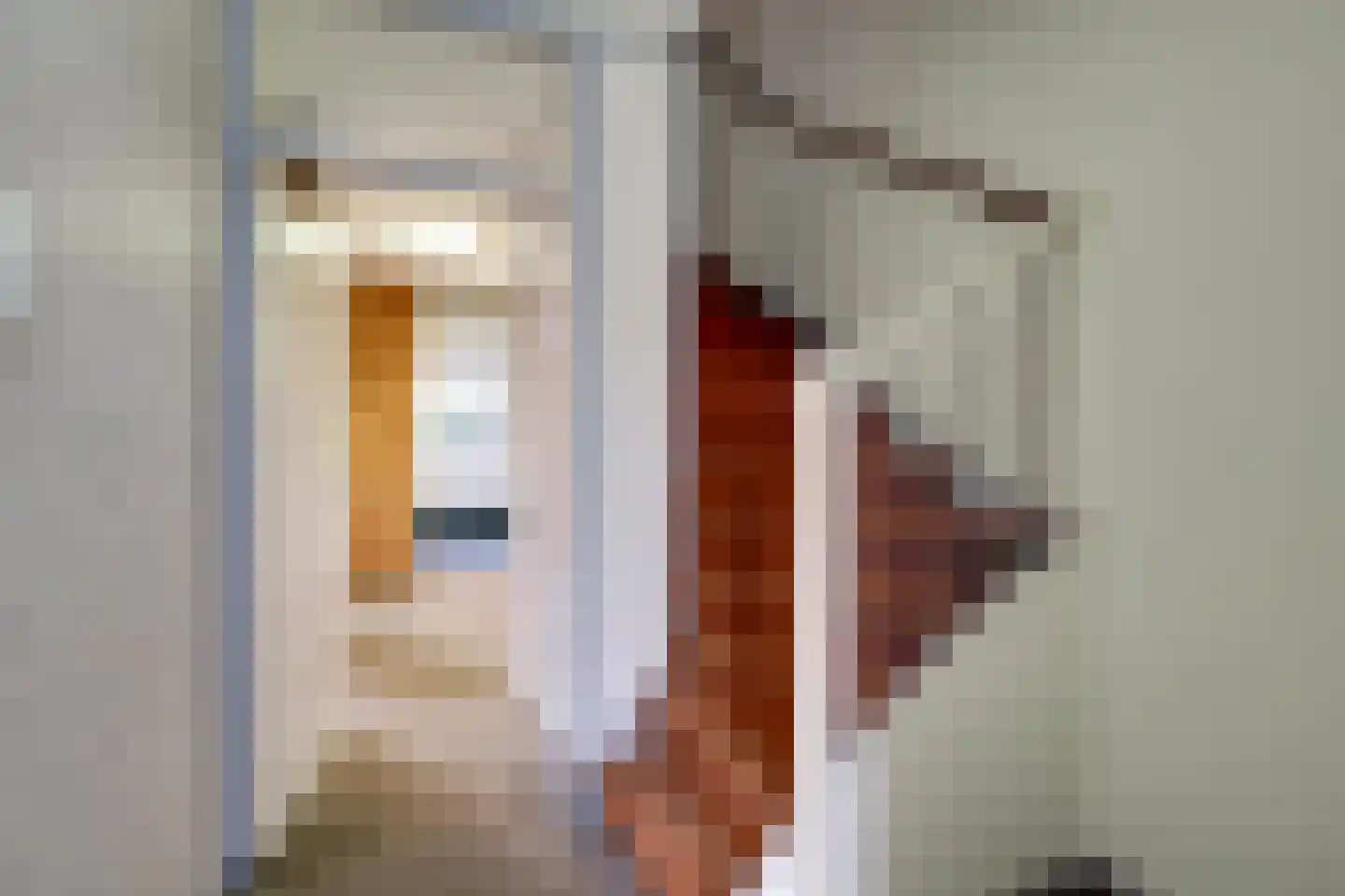 Zuiderzeestraat 26 Aartswoud thumbnail 8