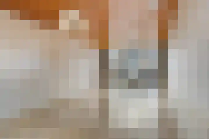 Zuiderzeestraat 3 Purmerend thumbnail 6