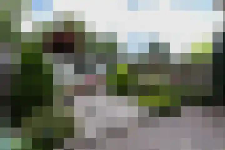 Zuiderzeestraat 38 Aartswoud thumbnail 34